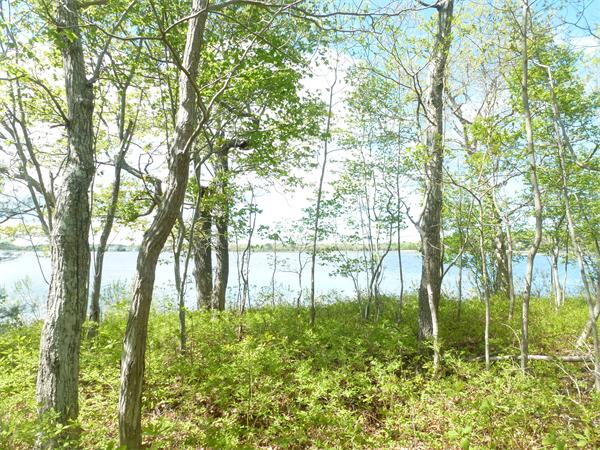 23 Dexter Road Marion, MA 02738 - Photo 20 of 29 Gallery Image 20