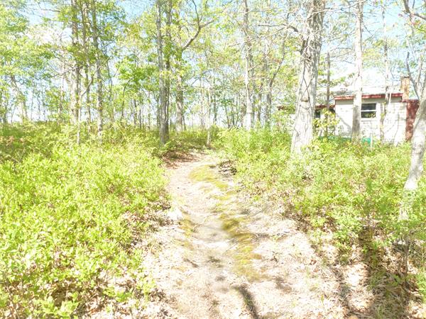 23 Dexter Road Marion, MA 02738 - Photo 9 of 29 Gallery Image 9
