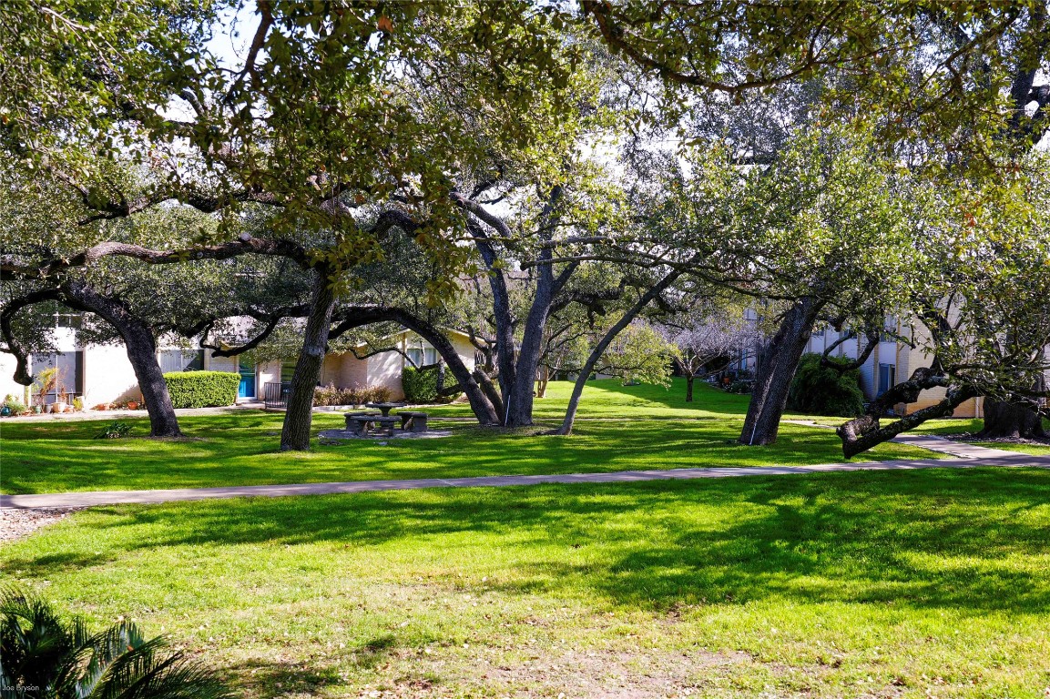 5326 Balcones Drive, Unit D Austin, TX 78731 - Photo 22 of 28 a front view of a building and trees