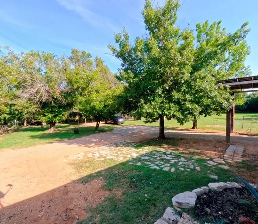 a view of a yard with plants and trees