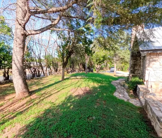 a view of yard with tree