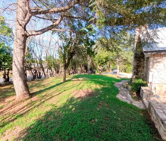 a view of yard with tree