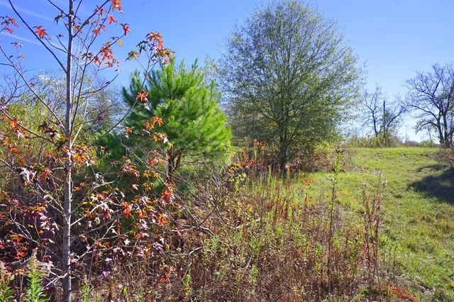 a big yard with lots of green space