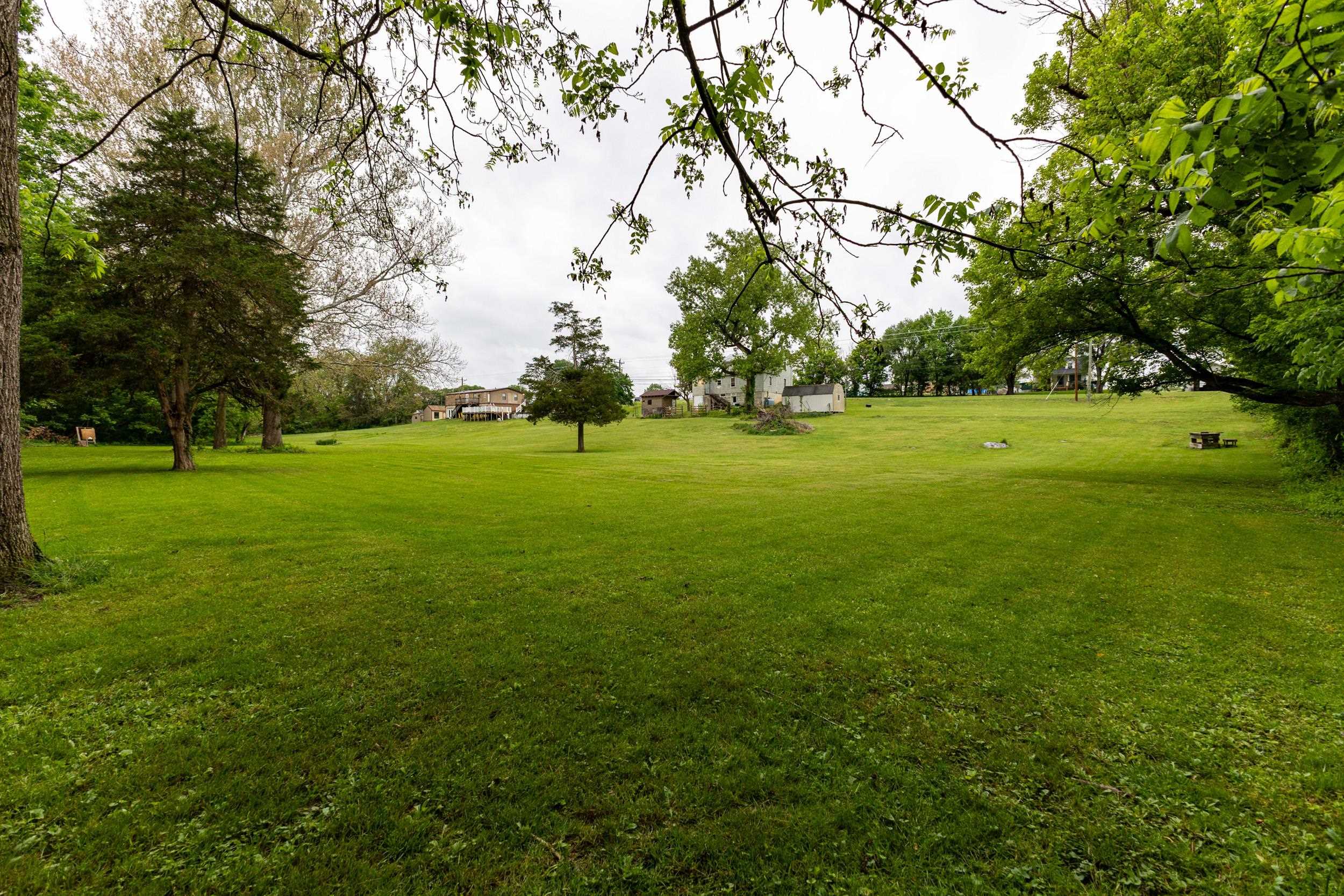 13896 Rockingham Pike Elkton, VA 22827 - Photo 14 of 60 a view of a big yard with a large trees