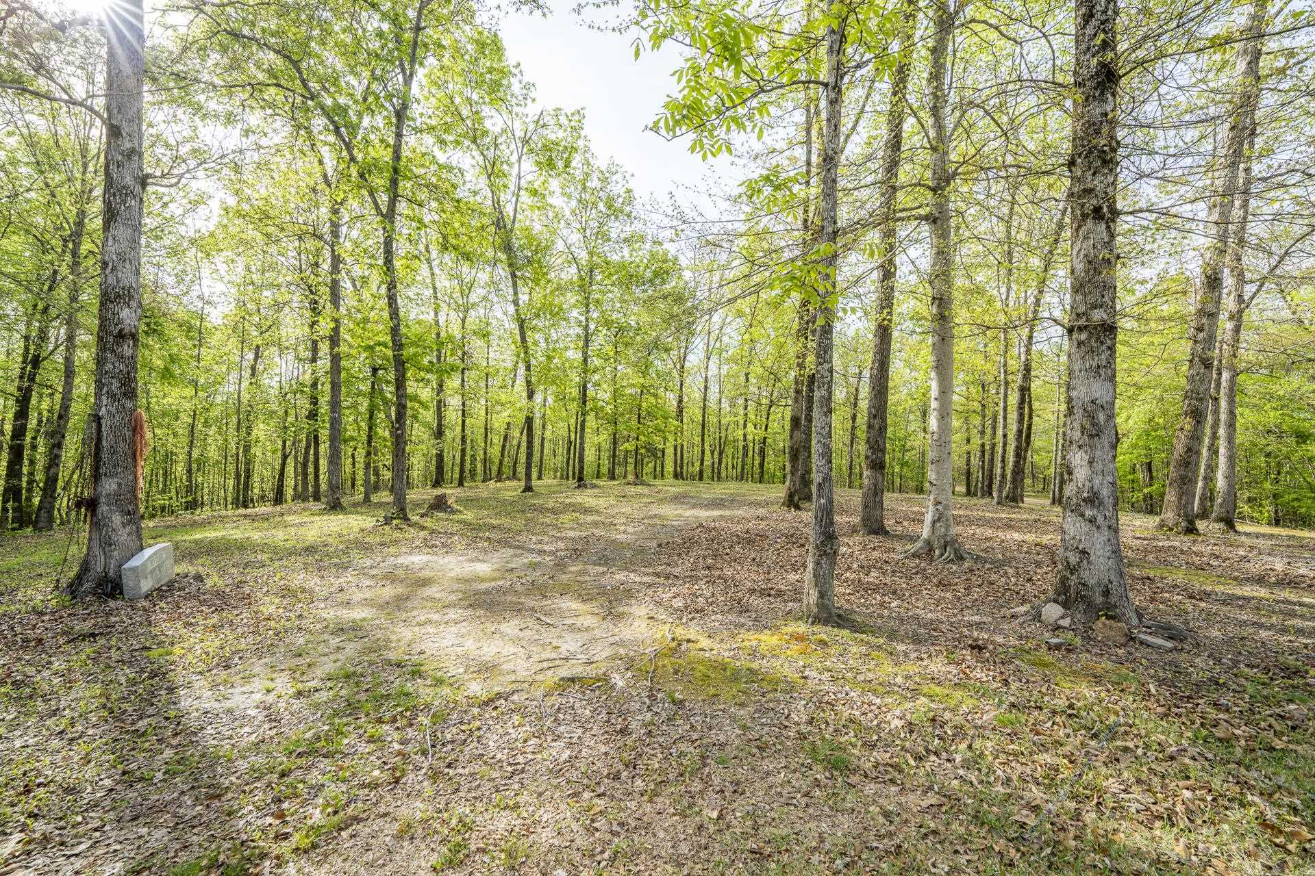 750 Taylor Road Morris Chapel, TN 38361 - Photo 37 of 40