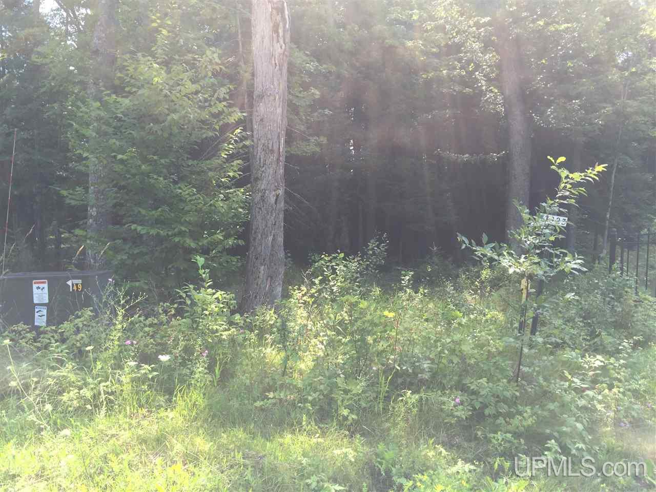 3923 West Tamarack Lake Road, Unit 19 Watersmeet, MI 49969 - Photo 8 of 8