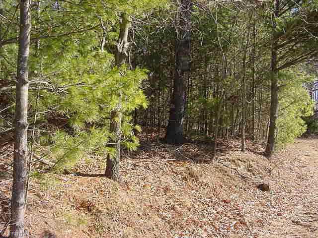 0 Off Doughton View Road Glade Valley, NC 28627 - Photo 3 of 4 Other. Lot