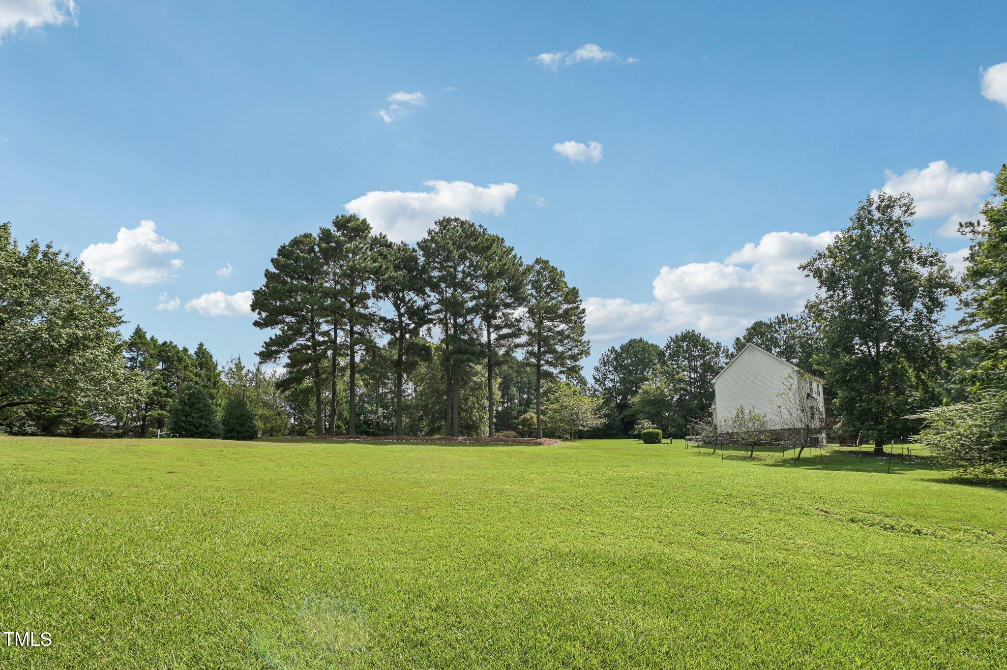 68 Jamison Drive Raleigh, NC 27610 - Photo 43 of 44 41-web-or-mls-Jamison Dr-S1608-041