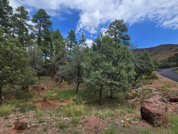 $125,000 | 0 Lot Pine, Unit 66, Pine, AZ 85544