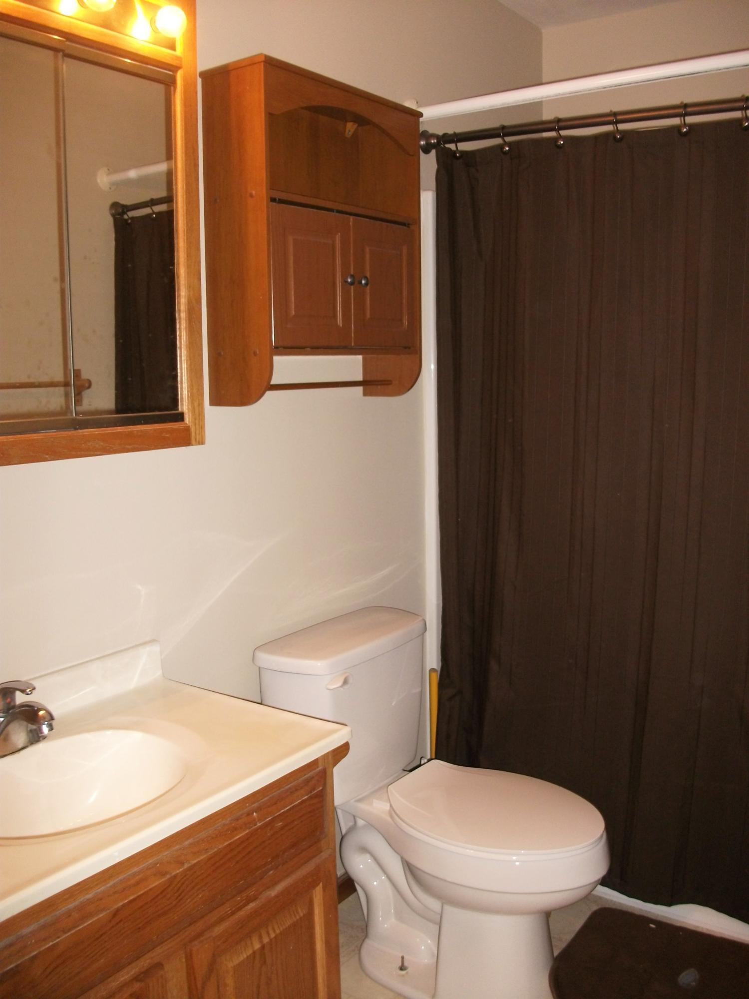 2374 Hopkins Road Talbott, TN 37877 - Photo 13 of 25 Main Bathroom