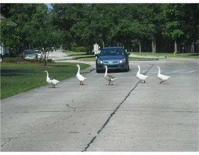 $255,000 | 215 Pineridge Court, Mandeville, LA 70448