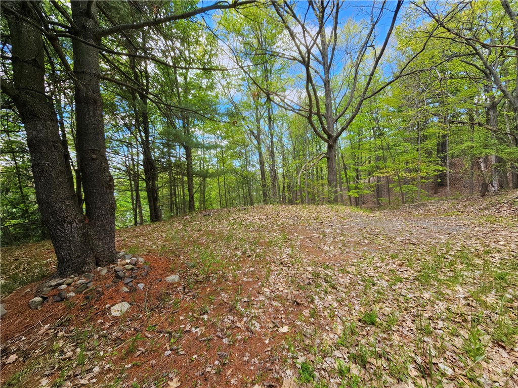 613 East Lake Road Penn Yan, NY 14527 - Photo 7 of 35