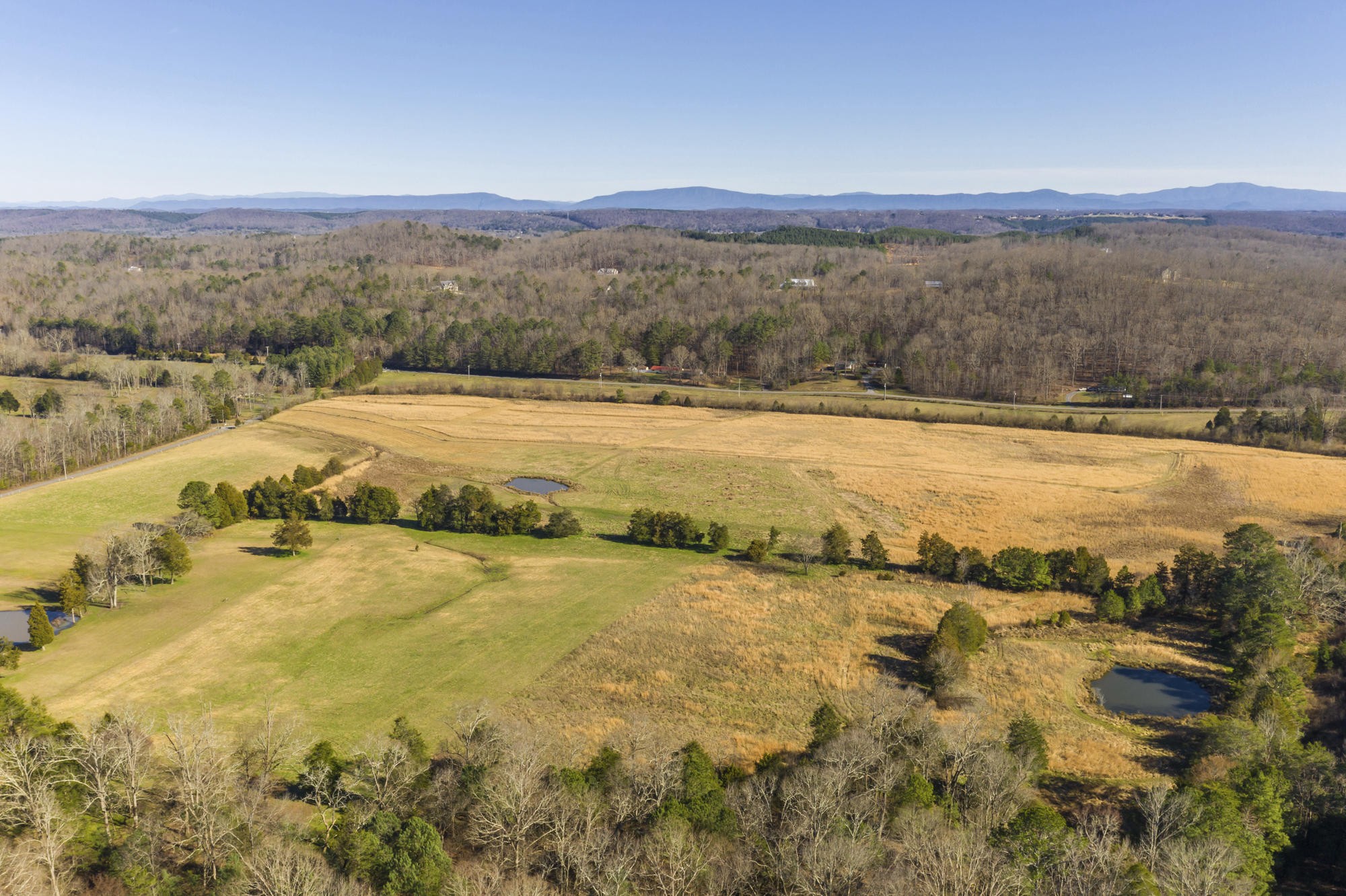 2 Northwest Francisco Road Georgetown, TN 37336 - Photo 3 of 9