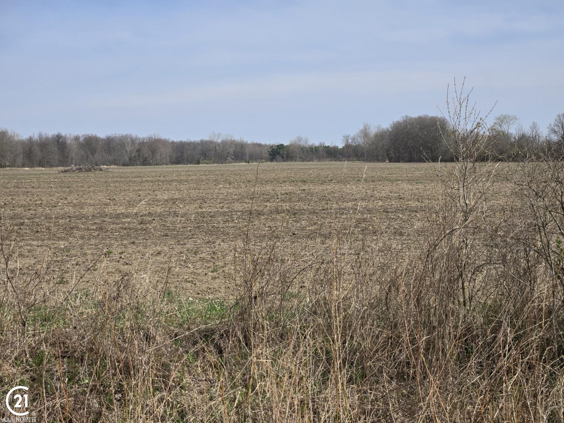 0 Meskill (lot D) Road Columbus, MI 48063 - Photo 12 of 15