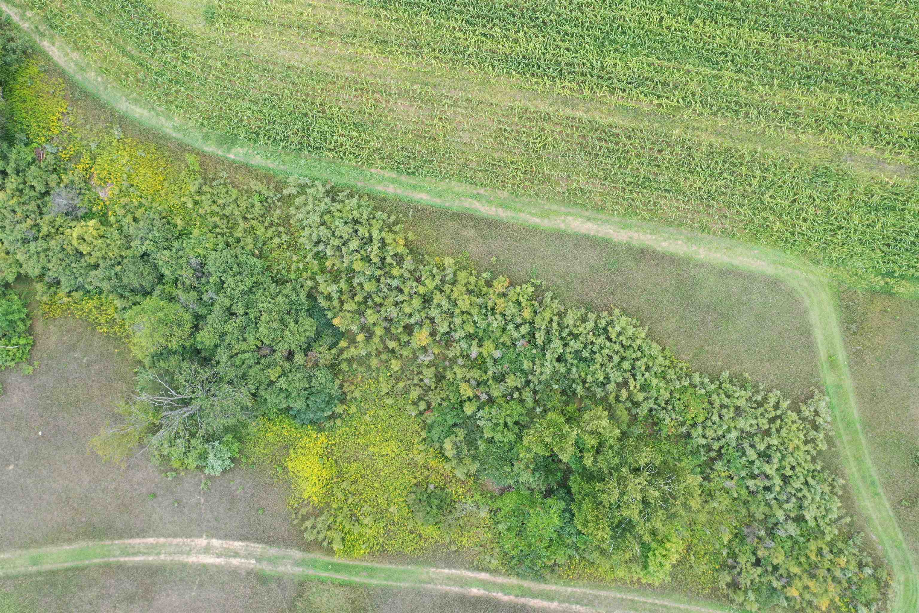 0 Us-31 Street Traverse City, MI 49685 - Photo 41 of 89