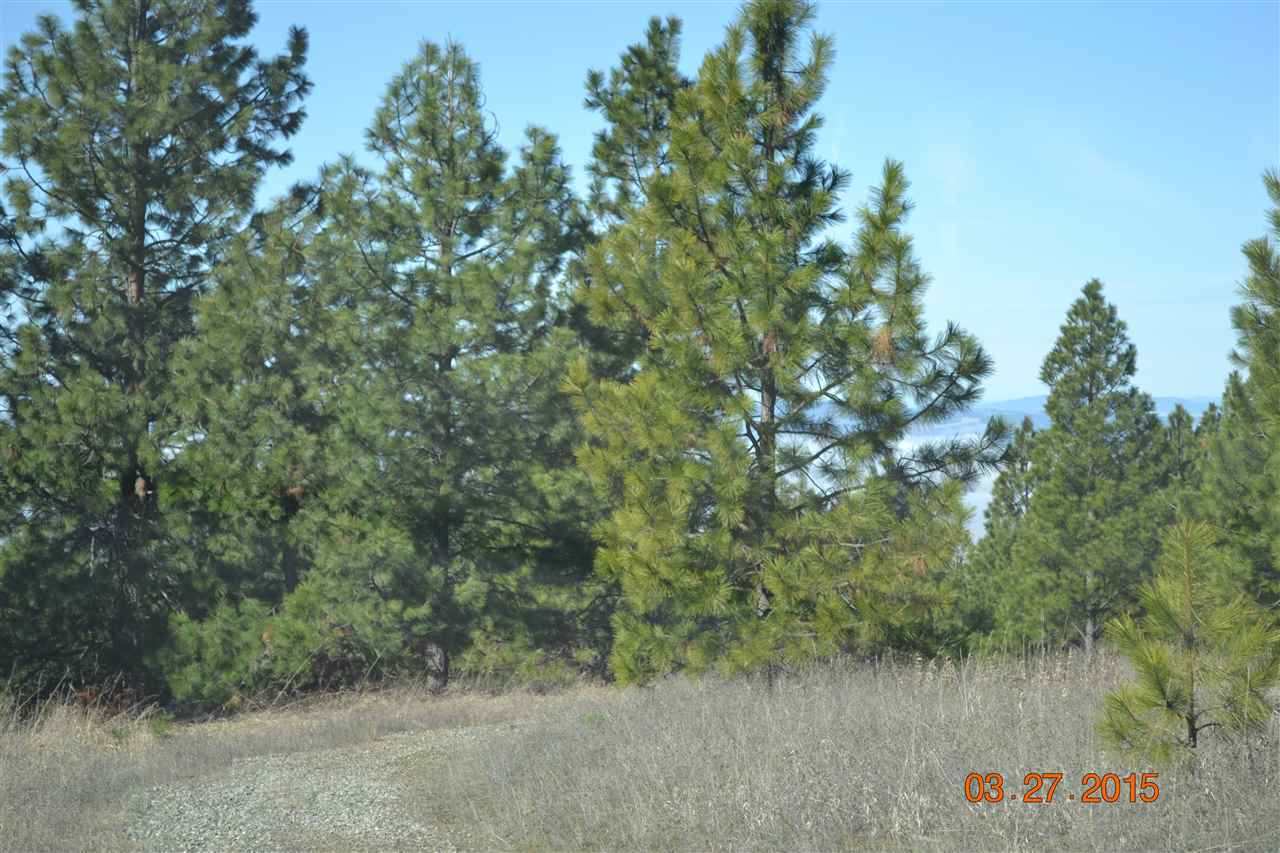 Xx East Webster Road, Unit PARCEL 9A Spokane, WA 99217 - Photo 14 of 20 Gallery Image 14