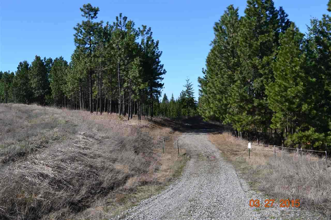 Xx East Webster Road, Unit PARCEL 9A Spokane, WA 99217 - Photo 8 of 20 Gallery Image 8