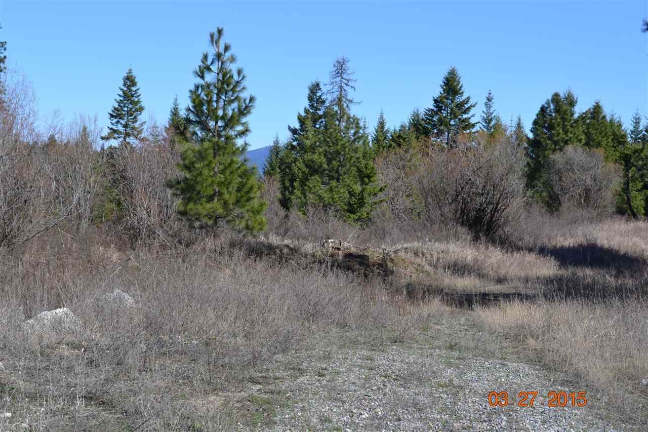 Xx East Webster Road, Unit PARCEL 9A Spokane, WA 99217 - Photo 10 of 20 Gallery Image 10