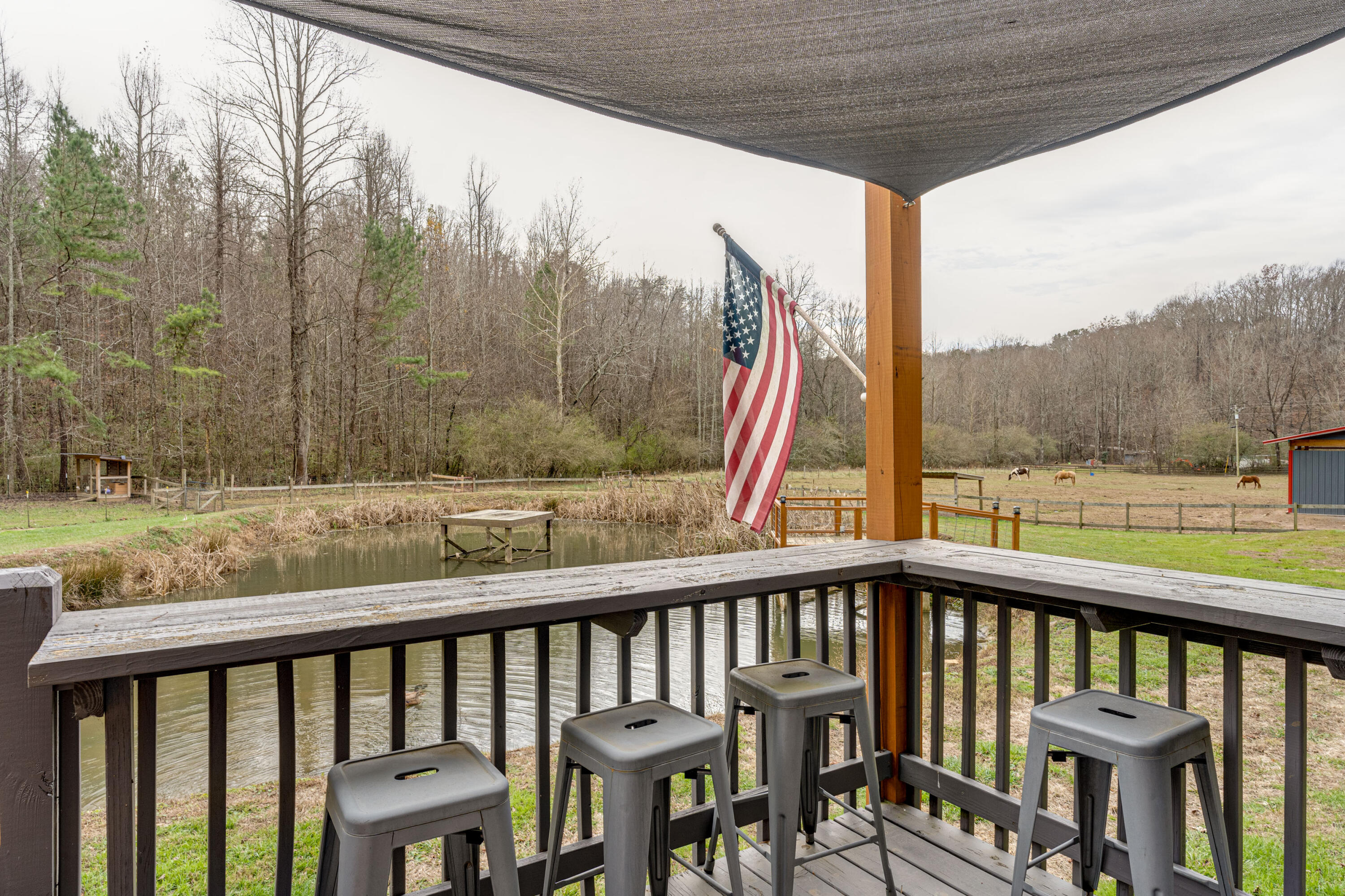 420 Piney Spur Road Ellijay, GA 30536 - Photo 45 of 80 48-420 Piney Spur Rd-48