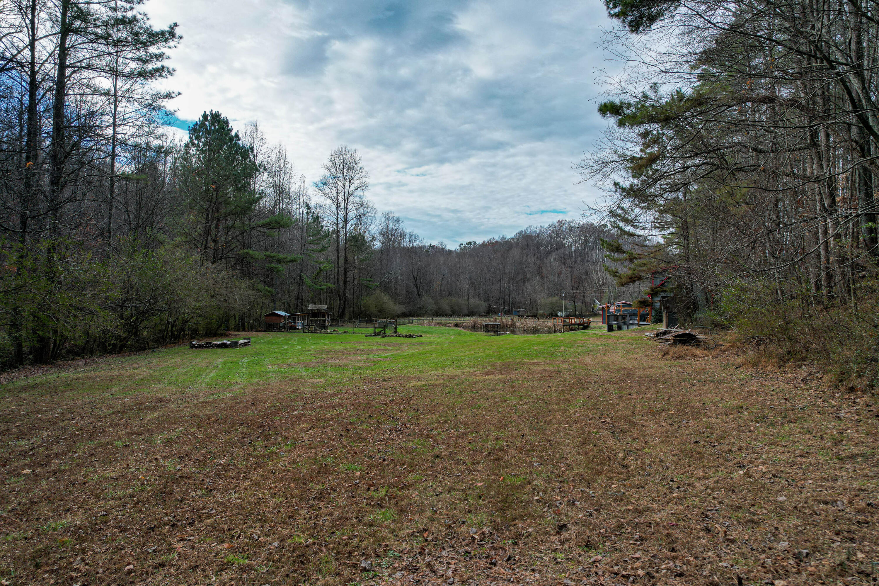 420 Piney Spur Road Ellijay, GA 30536 - Photo 63 of 80 66-420 Piney Spur Rd-66