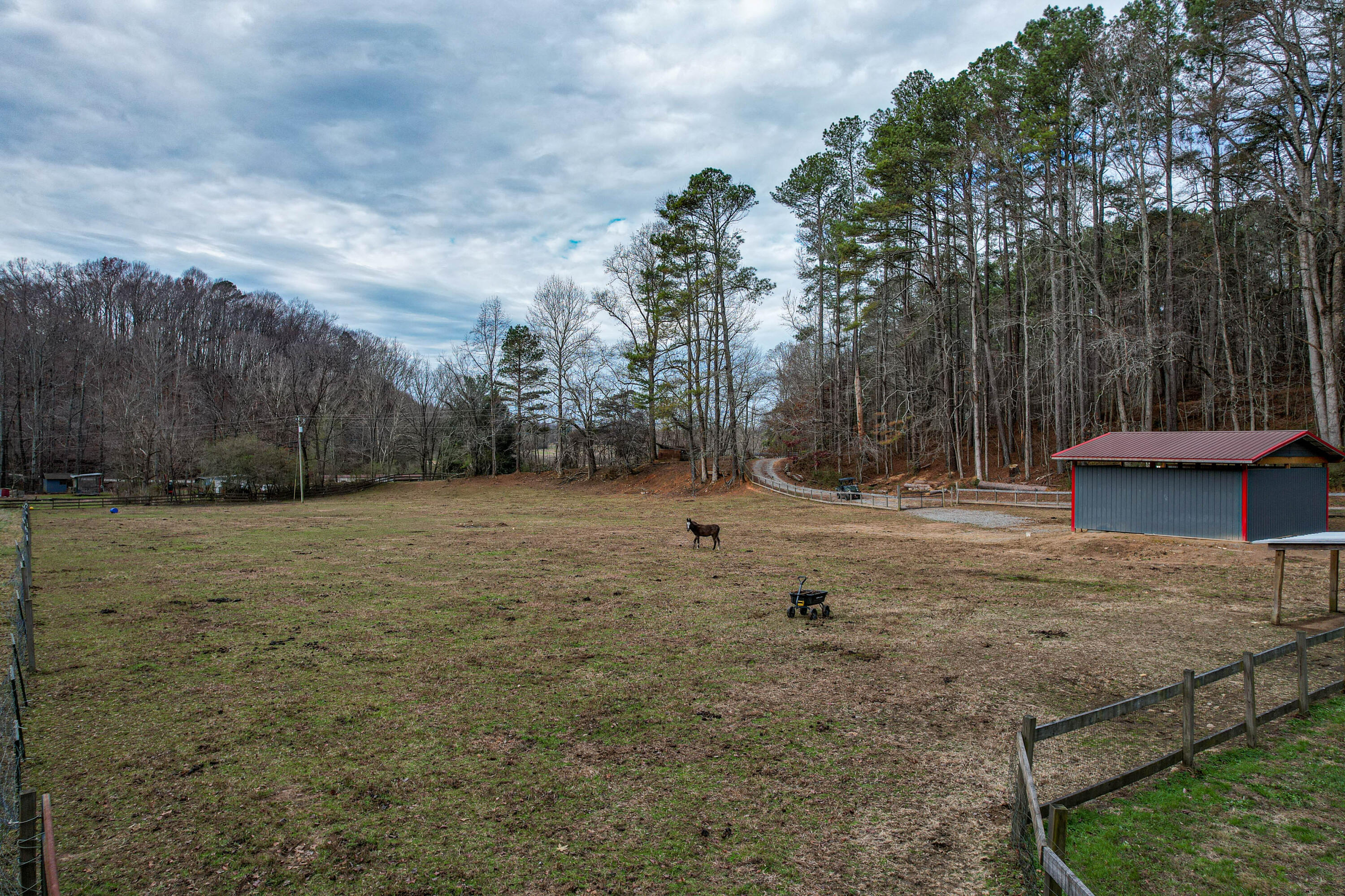 420 Piney Spur Road Ellijay, GA 30536 - Photo 65 of 80 68-420 Piney Spur Rd-68