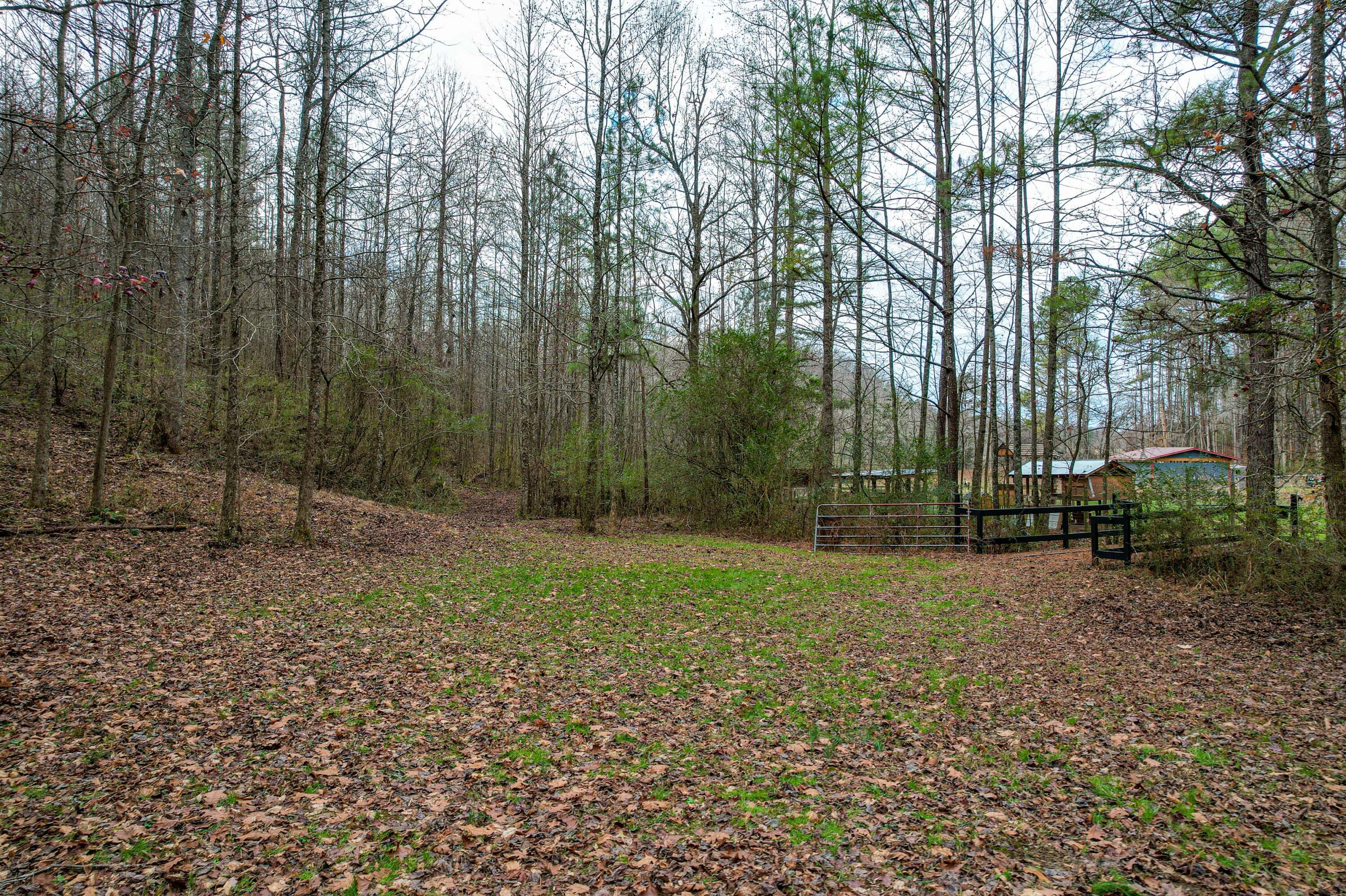 420 Piney Spur Road Ellijay, GA 30536 - Photo 70 of 80 73-420 Piney Spur Rd-73