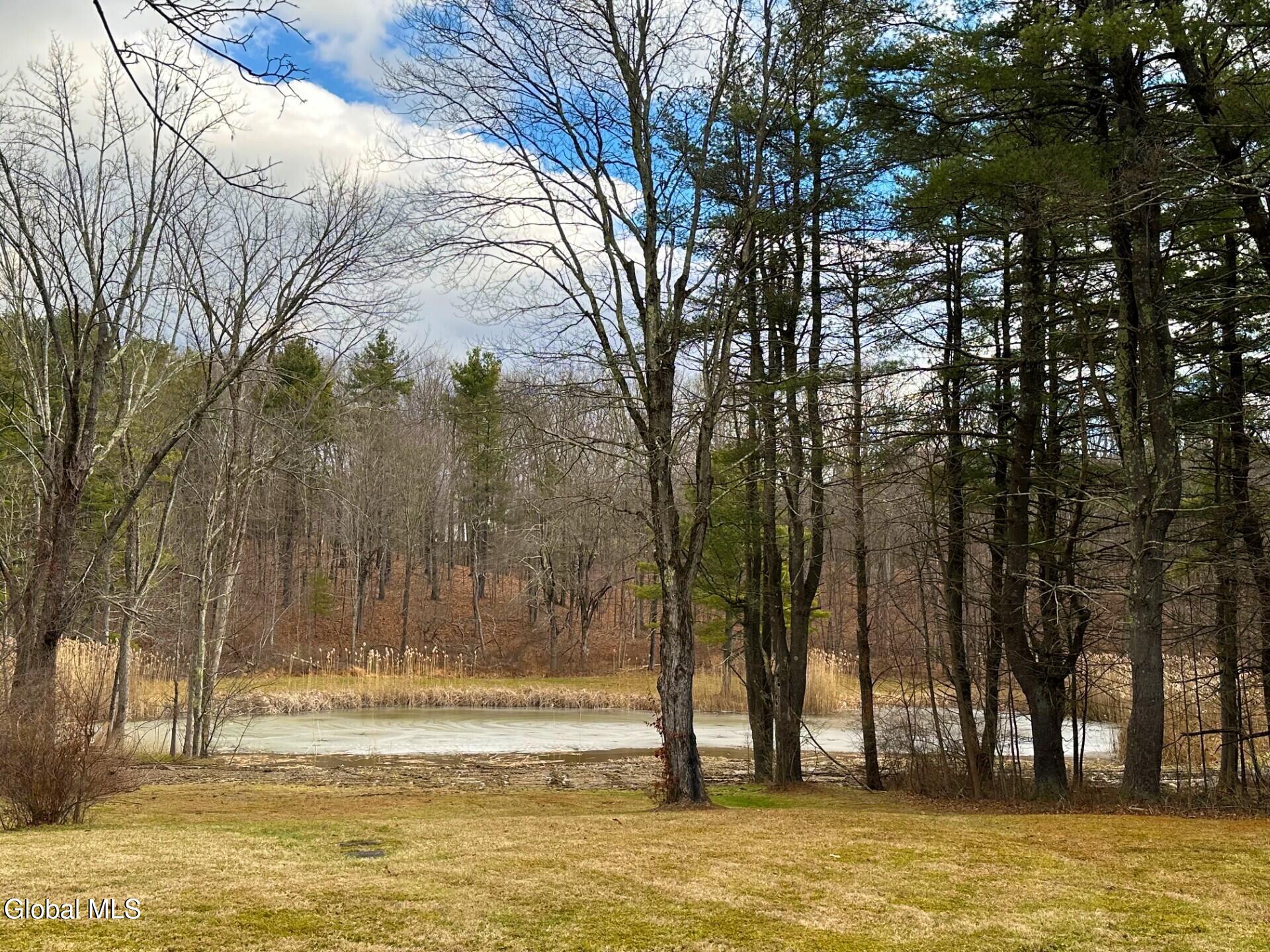 1754 Harlemville Road Ghent, NY 12037 - Photo 41 of 41 harlemsville pic