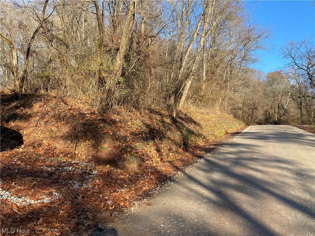 View of road