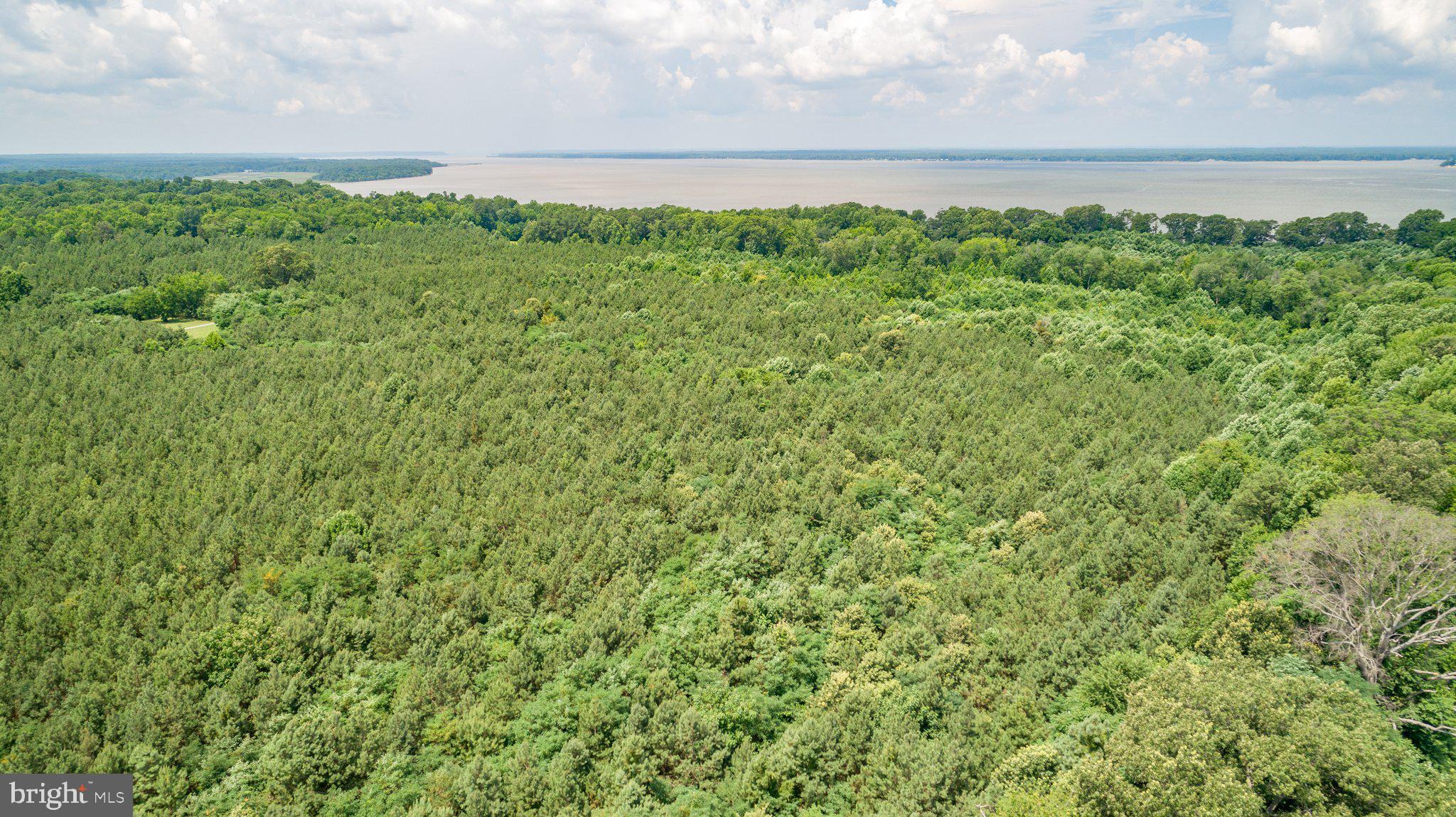 Lot 7 Arthur Road King George, VA 22485 - Photo 13 of 19