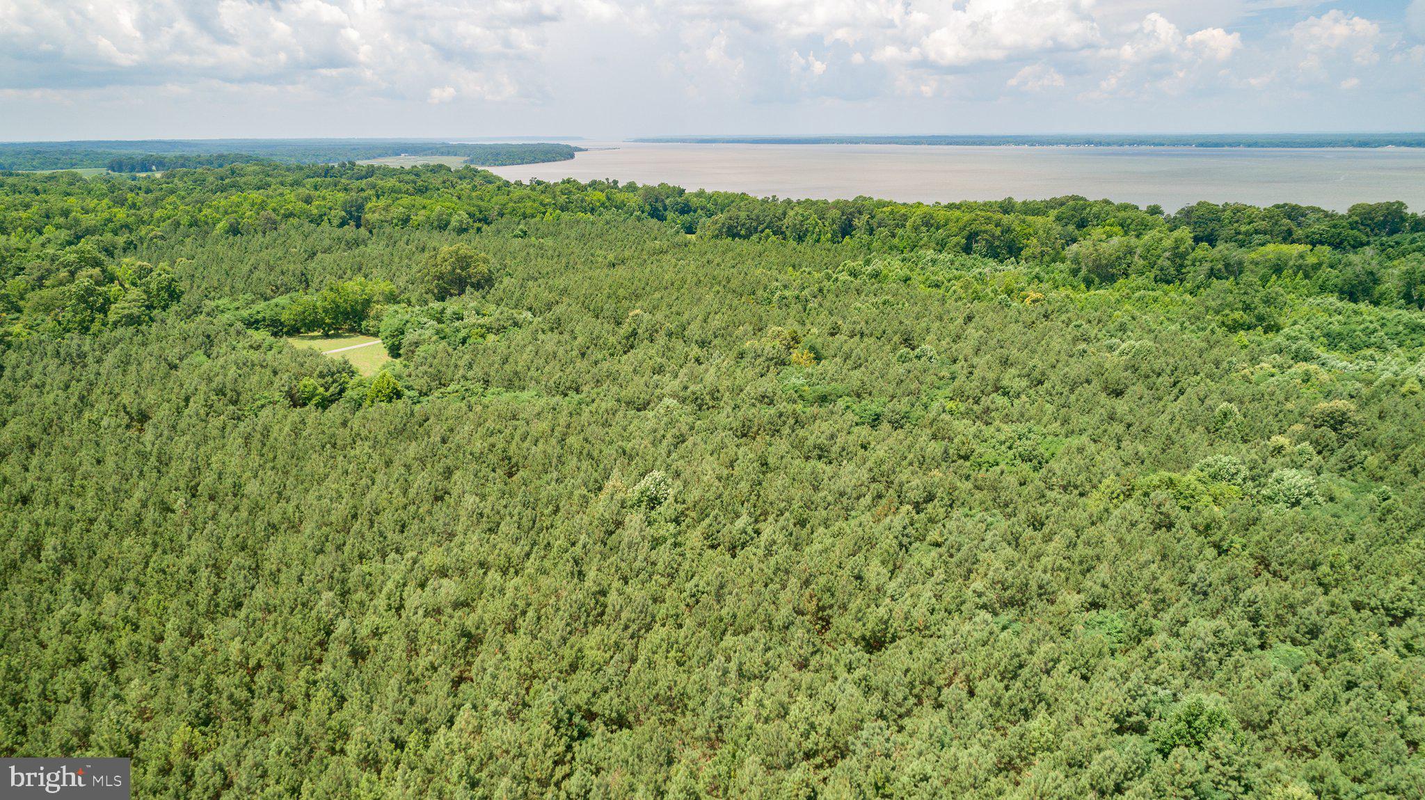 Lot 7 Arthur Road King George, VA 22485 - Photo 14 of 19