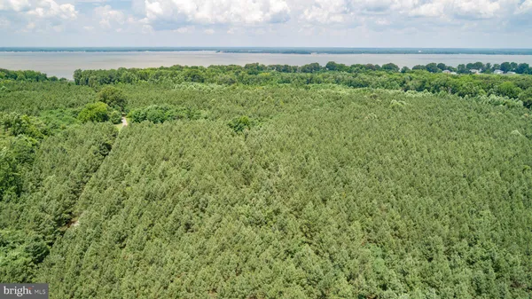 $439,900 | Lot 7 Arthur Road, King George, VA 22485