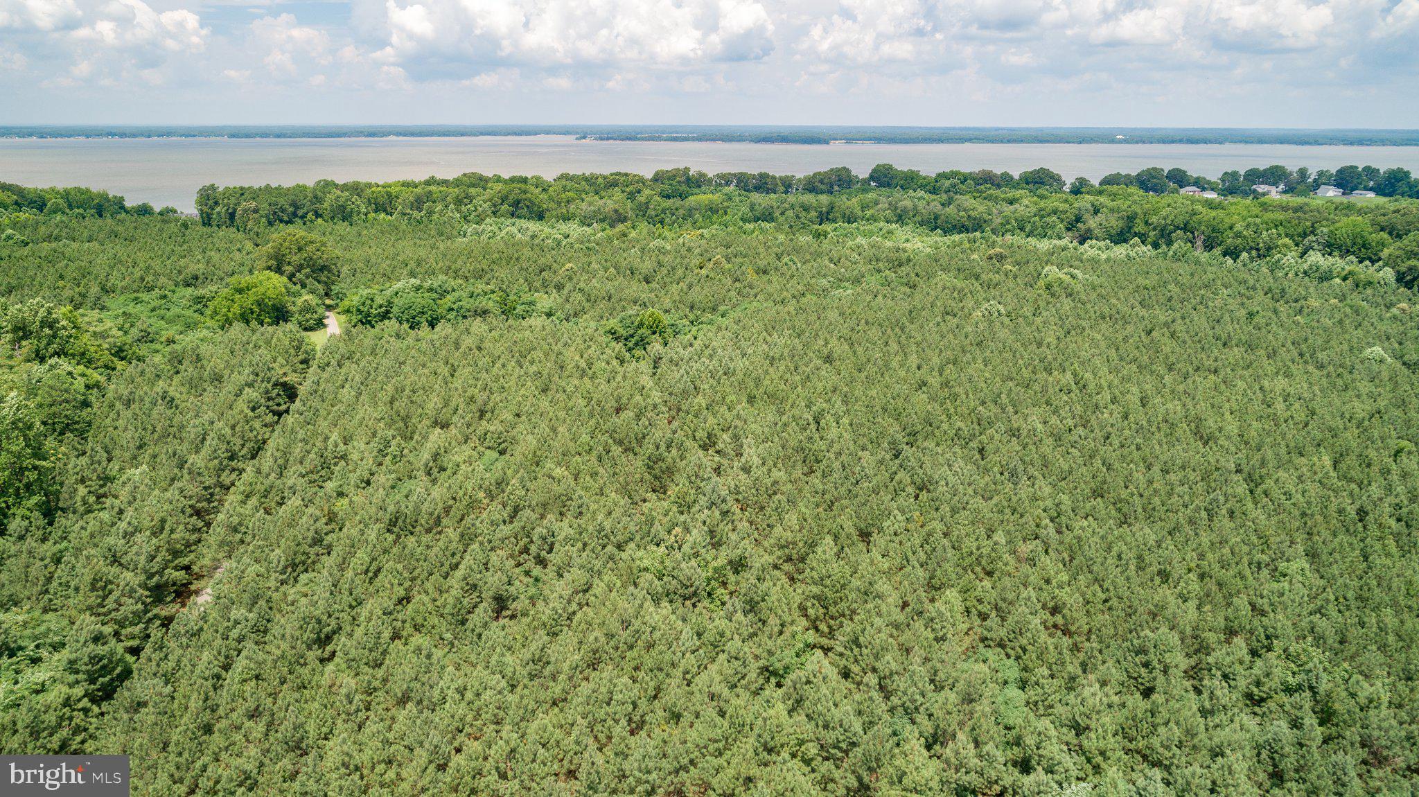 Lot 7 Arthur Road King George, VA 22485 - Photo 15 of 19