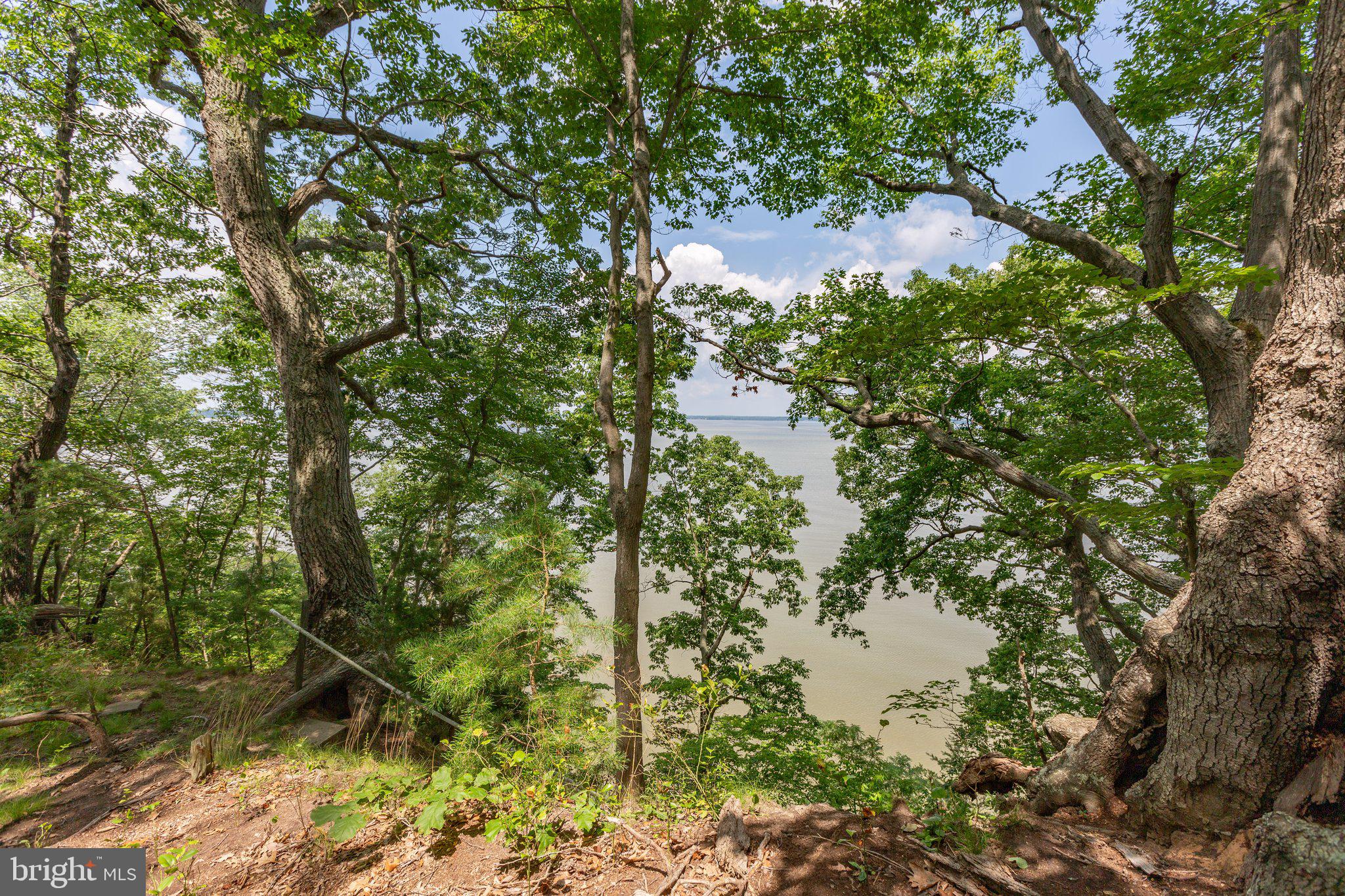 Lot 7 Arthur Road King George, VA 22485 - Photo 16 of 19