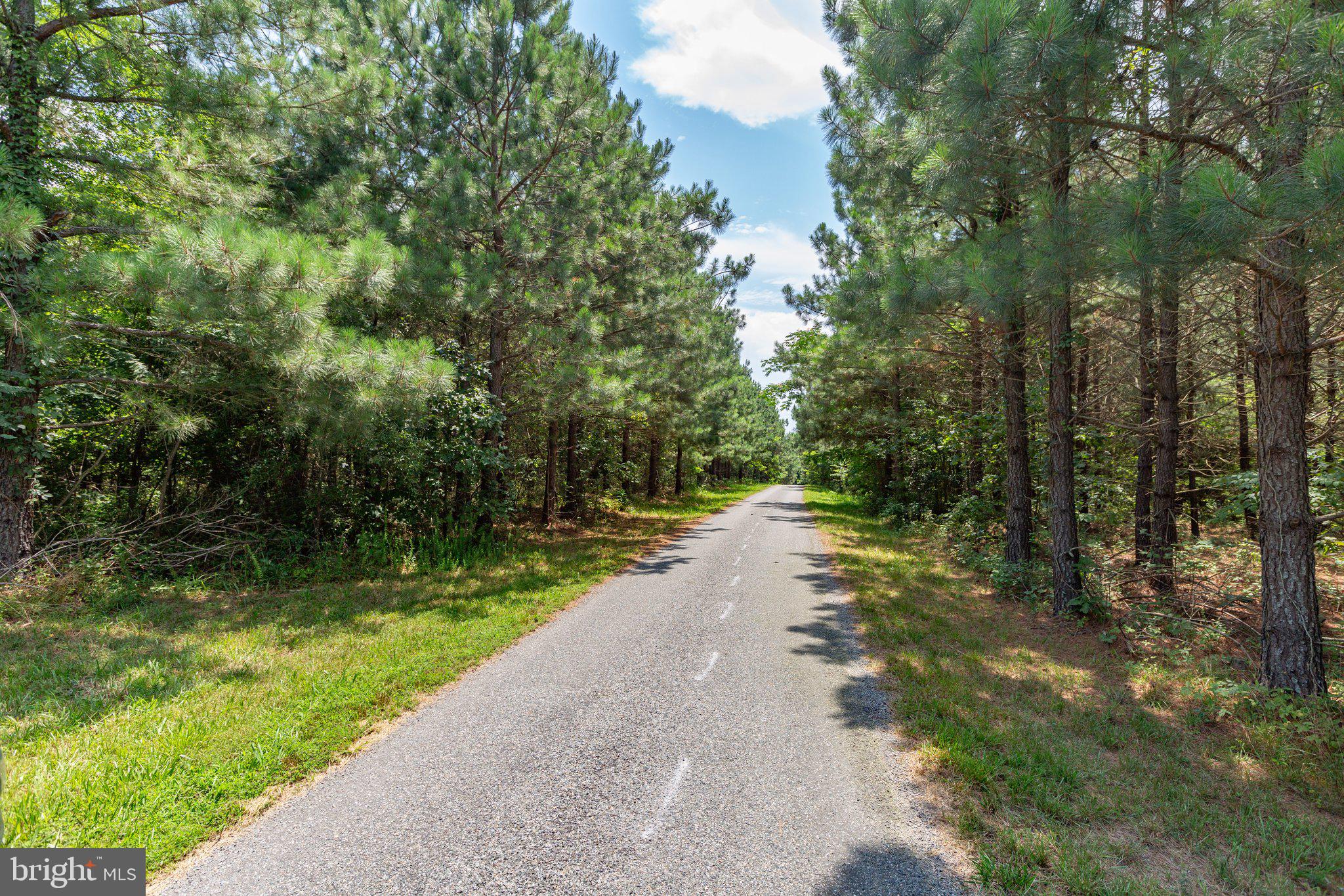 Lot 7 Arthur Road King George, VA 22485 - Photo 18 of 19