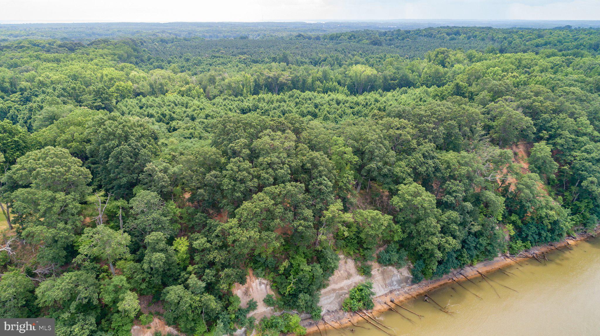 Lot 7 Arthur Road King George, VA 22485 - Photo 5 of 19