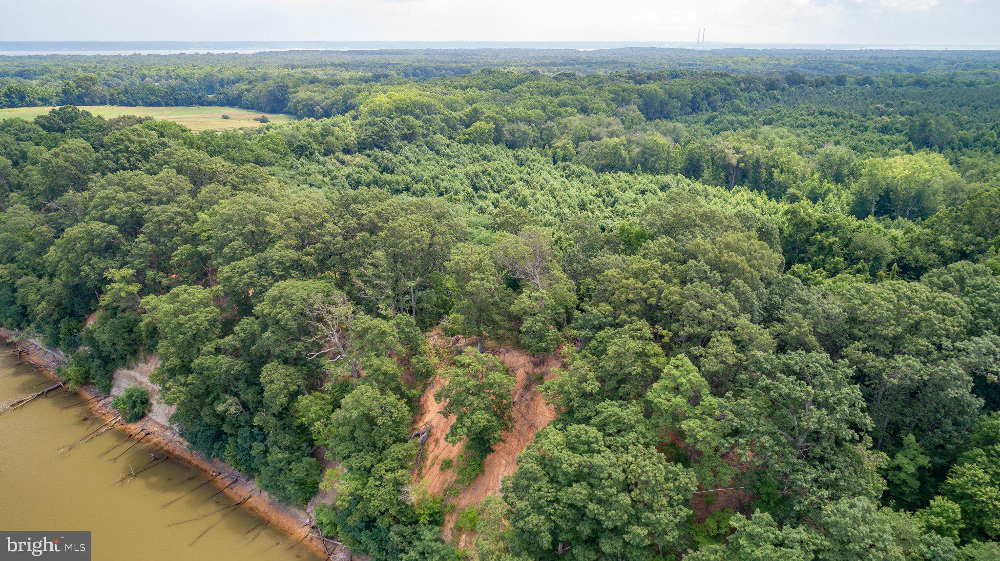 Lot 7 Arthur Road King George, VA 22485 - Photo 7 of 19