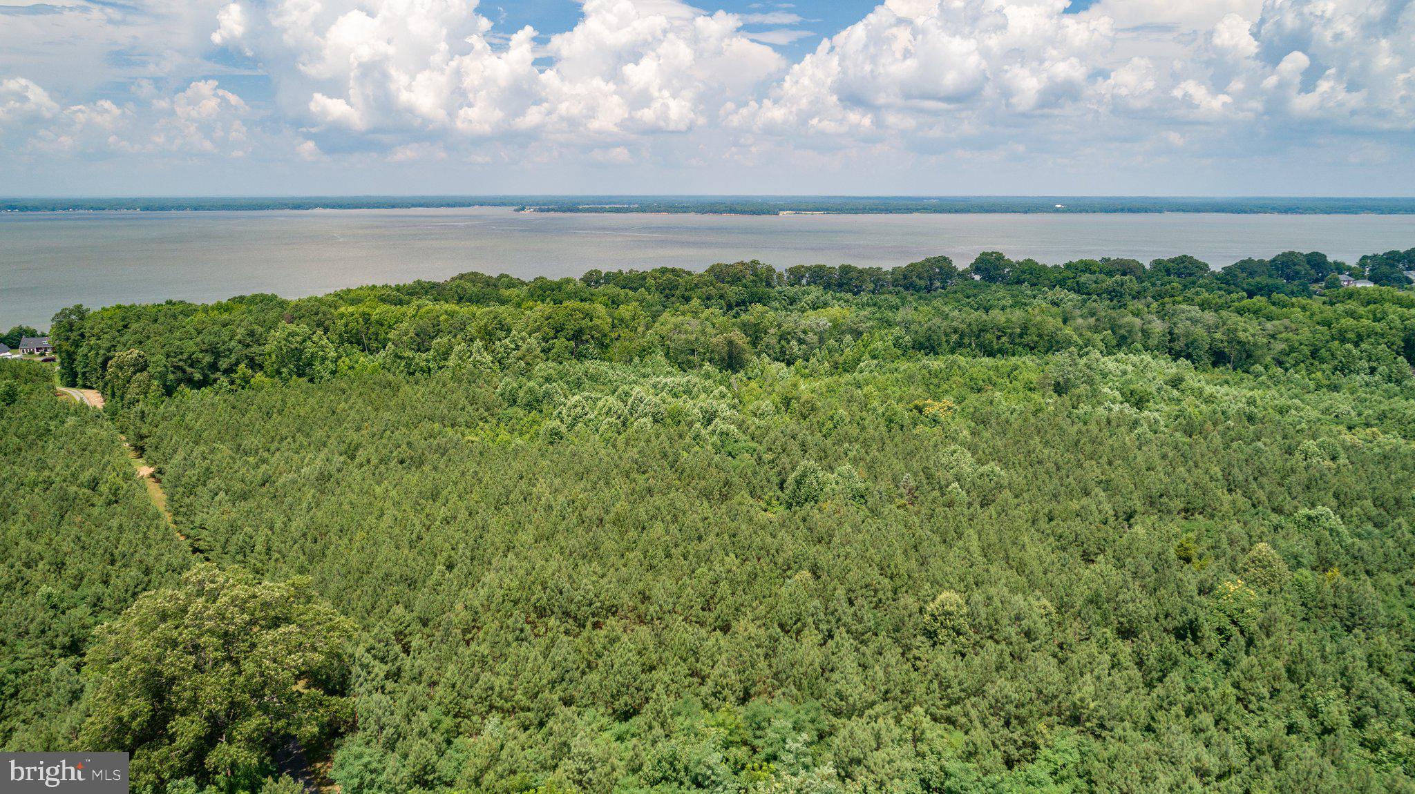 Lot 7 Arthur Road King George, VA 22485 - Photo 8 of 19