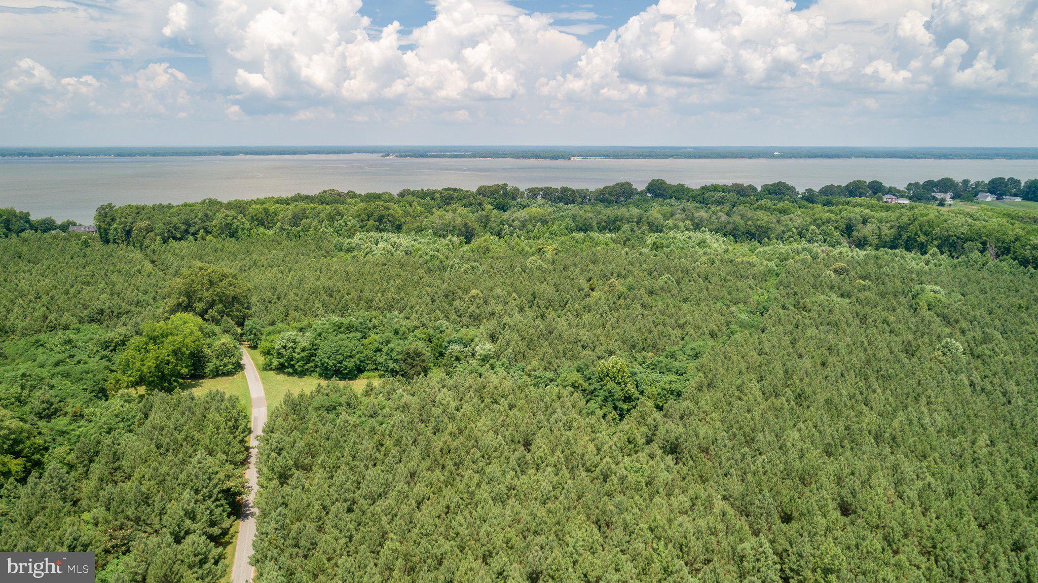 Lot 7 Arthur Road King George, VA 22485 - Photo 9 of 19