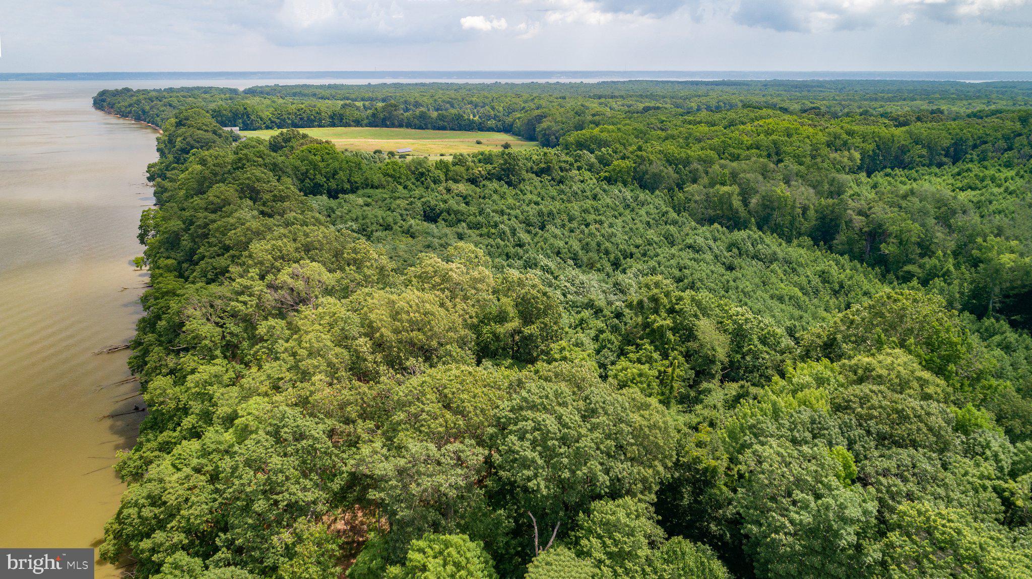 Lot 7 Arthur Road King George, VA 22485 - Photo 10 of 19