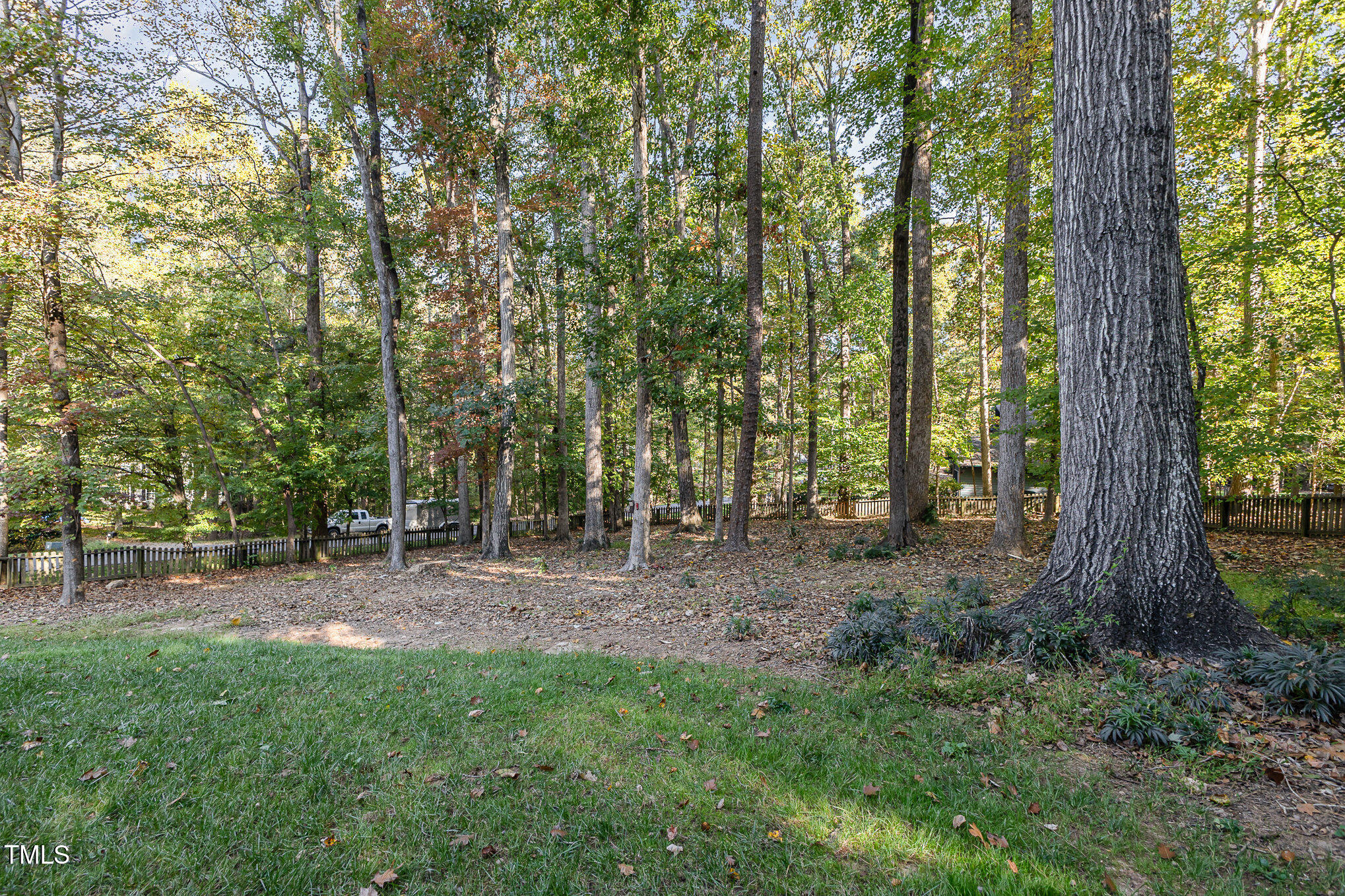 816 Thatcher Way Raleigh, NC 27615 - Photo 45 of 53 a view of a forest with trees in the background