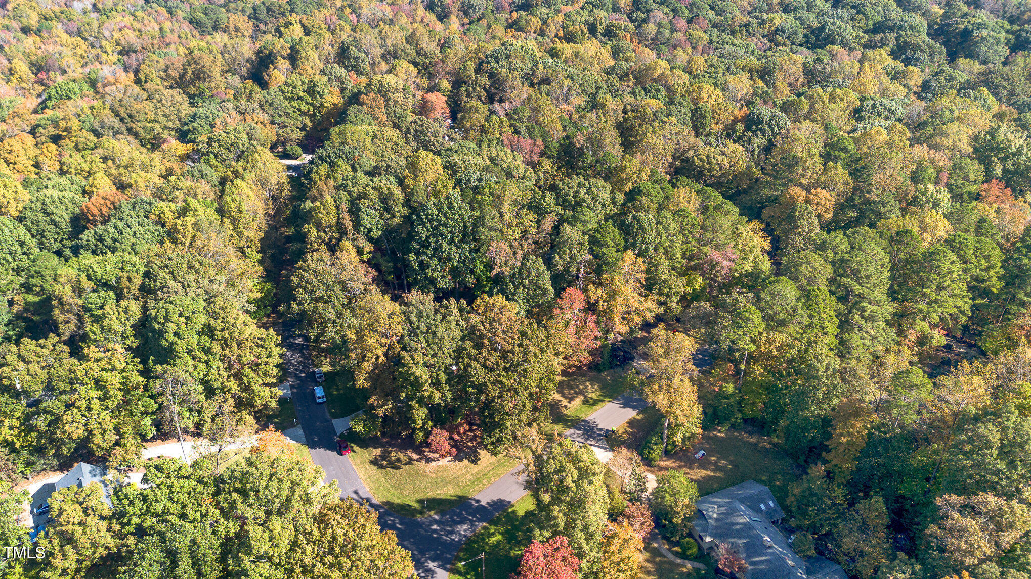 816 Thatcher Way Raleigh, NC 27615 - Photo 48 of 53 a view of a tree