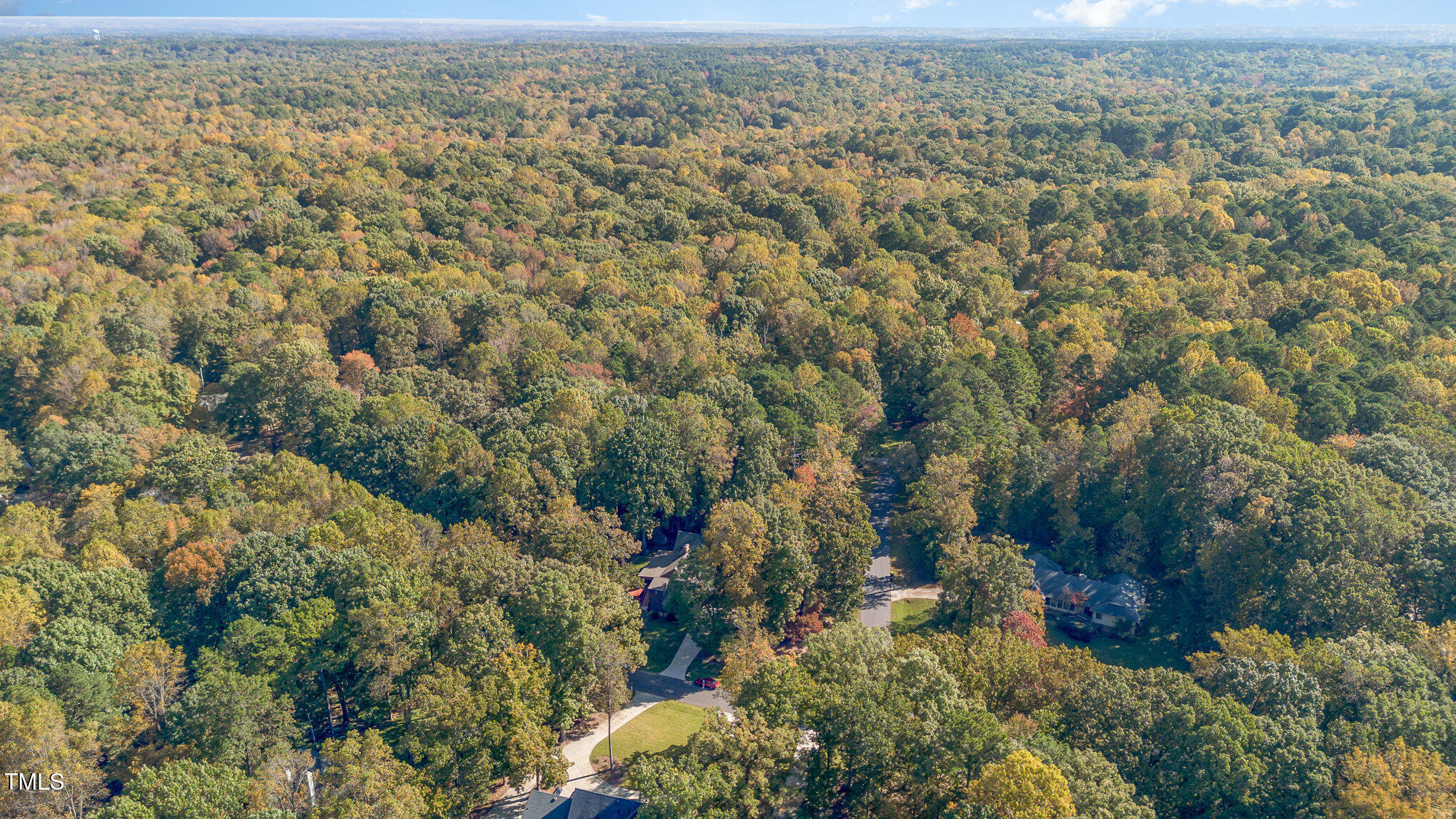 816 Thatcher Way Raleigh, NC 27615 - Photo 49 of 53 an aerial view of forest
