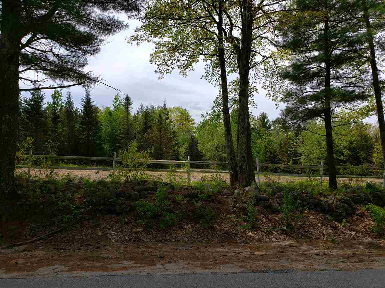 0 Walsh Road Sanbornville, NH 03872 - Photo 3 of 4 Gallery Image 3