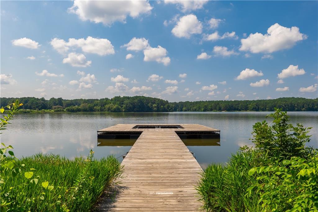 4476 Lemon Street Acworth, GA 30101 - Photo 60 of 63