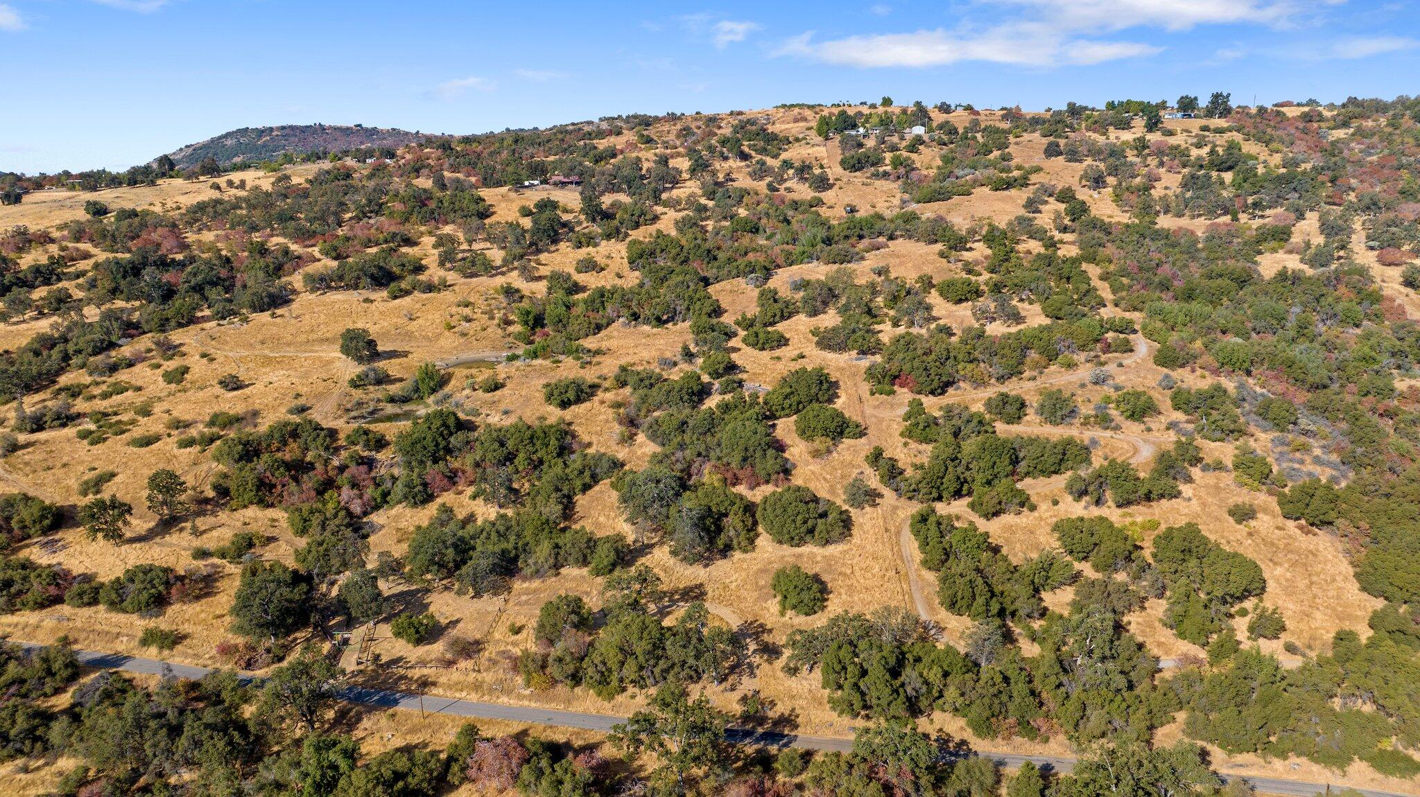 0 Whitaker Forest Road Badger, CA 93603 - Photo 11 of 13 15-web-or-mls-DJI_20241007094645_0431_D