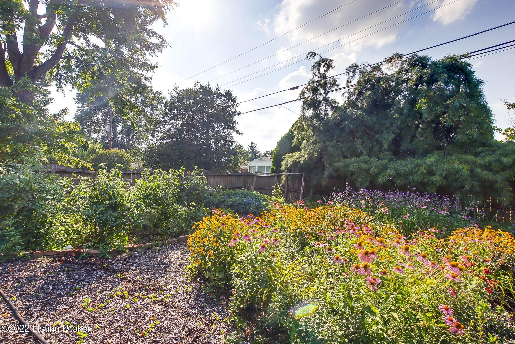 3515 Hanover Road Louisville, KY 40207 - Photo 43 of 47 3515_HanoverRd_40207_145