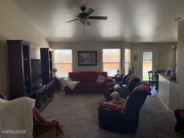 512 Darren Way Fernley, NV 89408 - Photo 7 of 32 IMG_3760