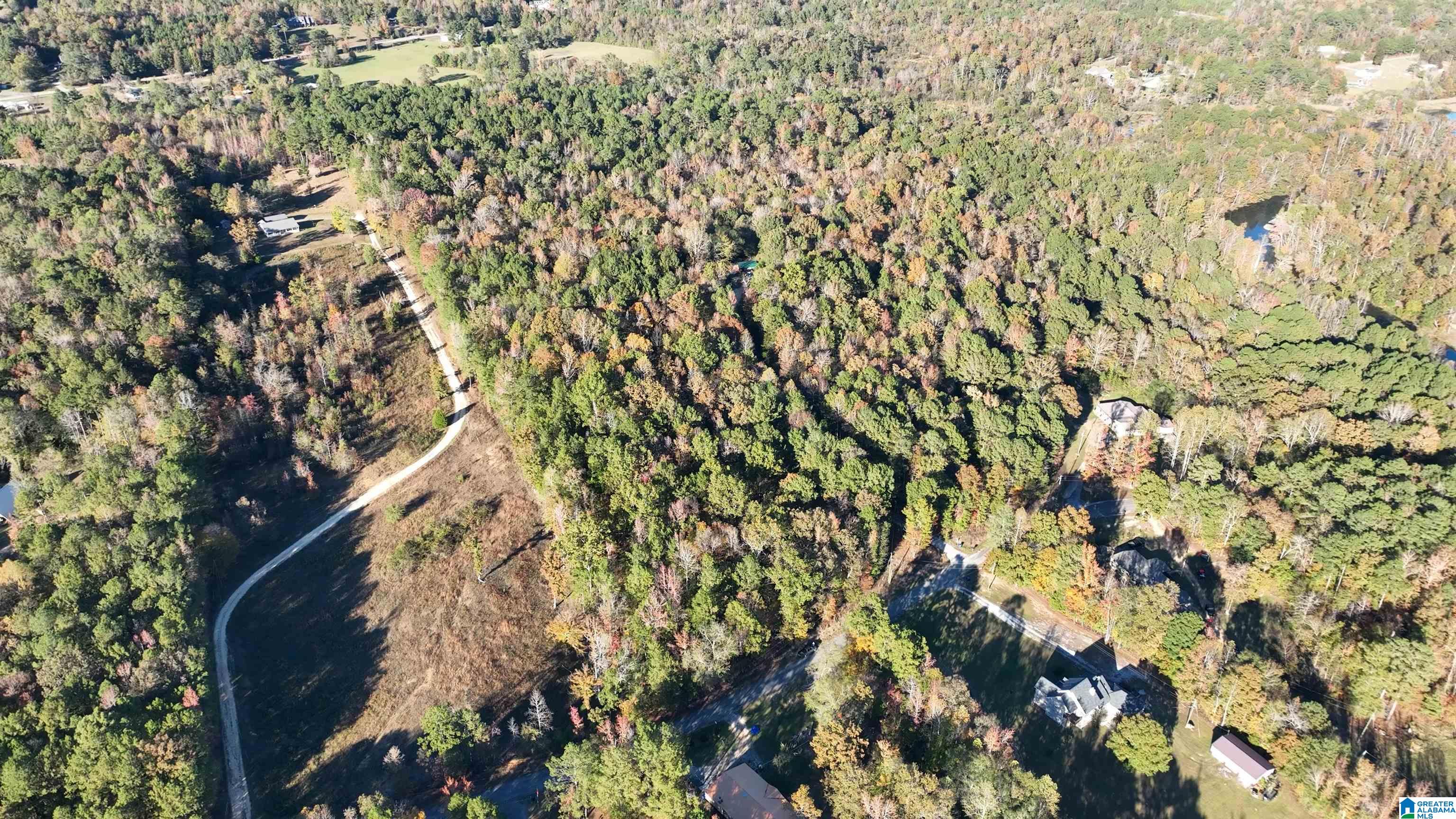 0 Waldrop Road, Unit 10 82 ACRES Ashville, AL 35953 - Photo 3 of 22