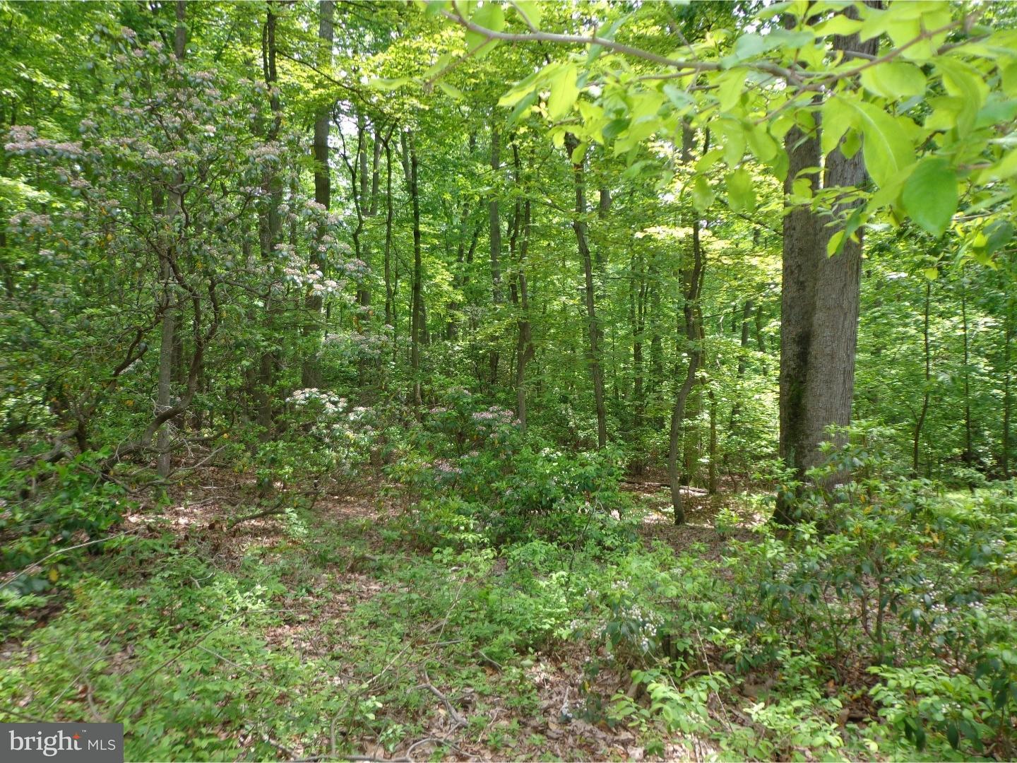 Lot 1 Turkey Point Road Elkton, MD 21921 - Photo 1 of 1 View 1