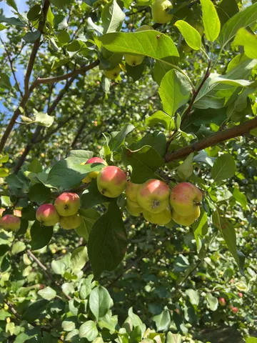 $399,900 | 14199 Riverbend Trail, Thief River Falls, MN 56701